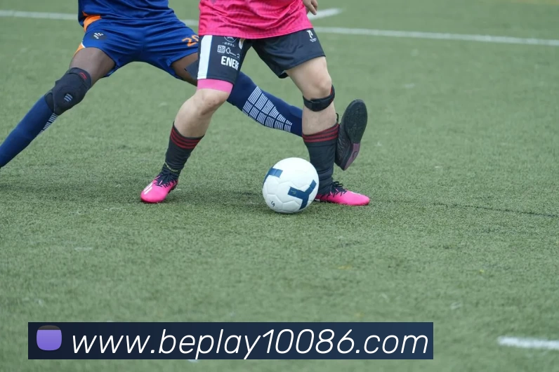 App Interface Preview